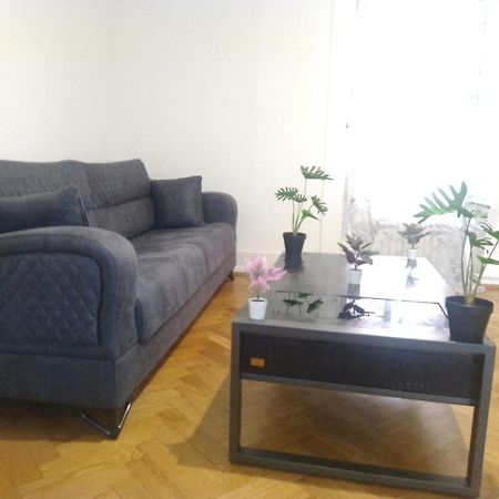 Charming Flat Center And Near The Lake Genewa Zewnętrze zdjęcie
