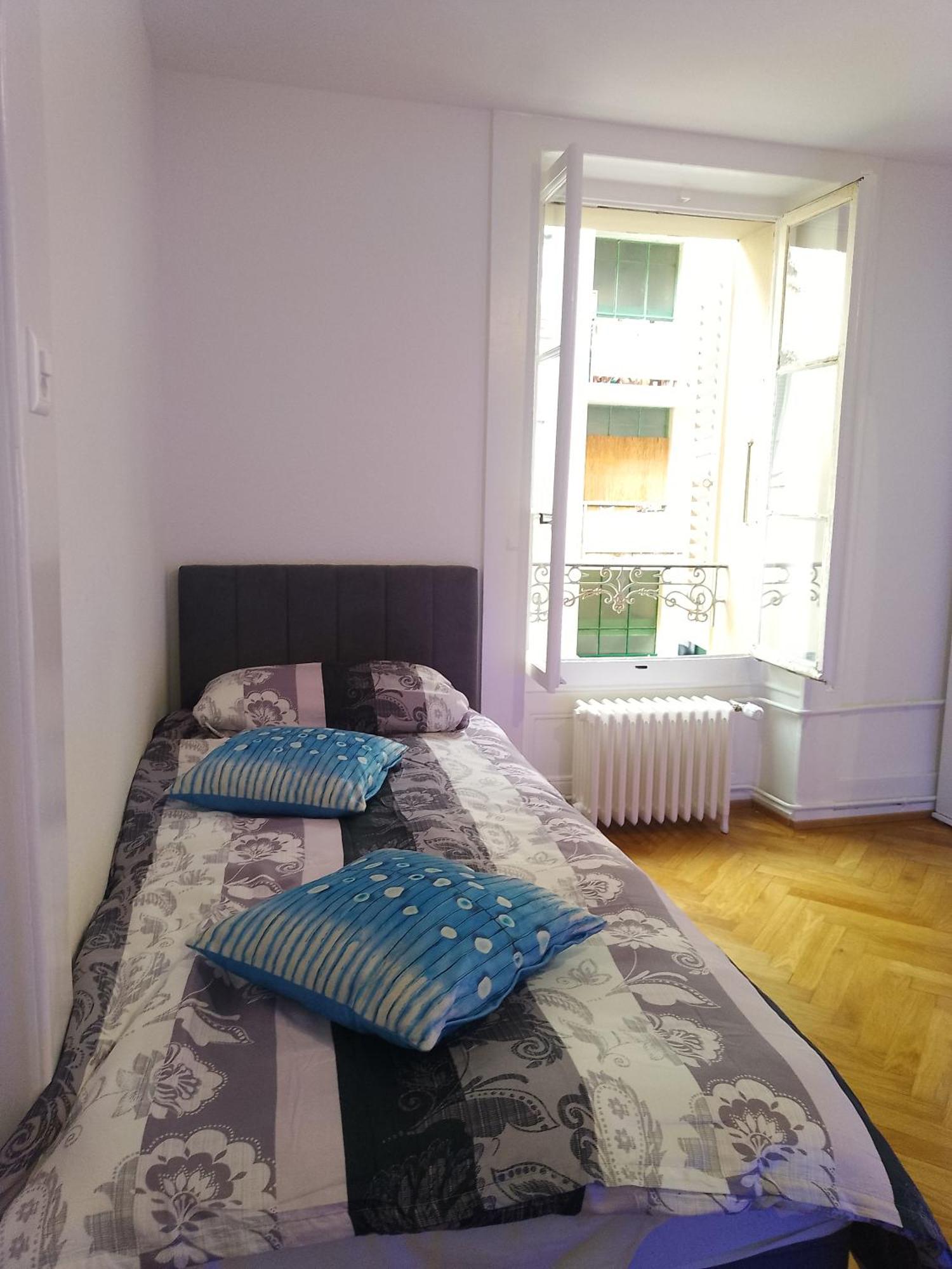 Charming Flat Center And Near The Lake Genewa Zewnętrze zdjęcie